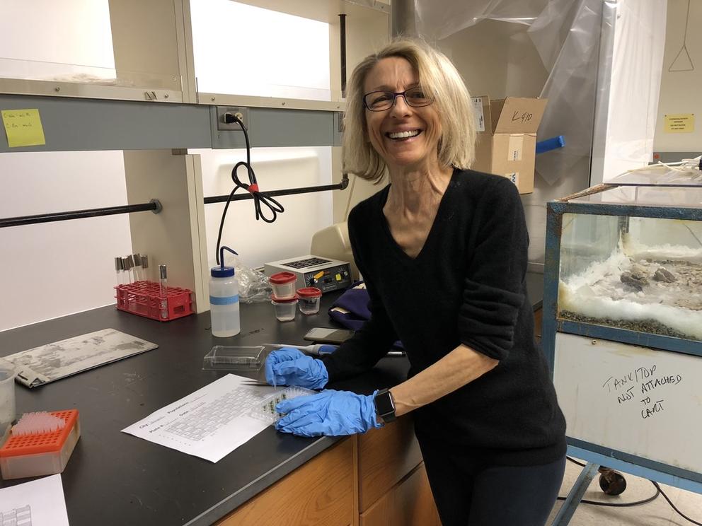 a researcher with blonde hair smiles at the camera while performing wet lab techniques on clover