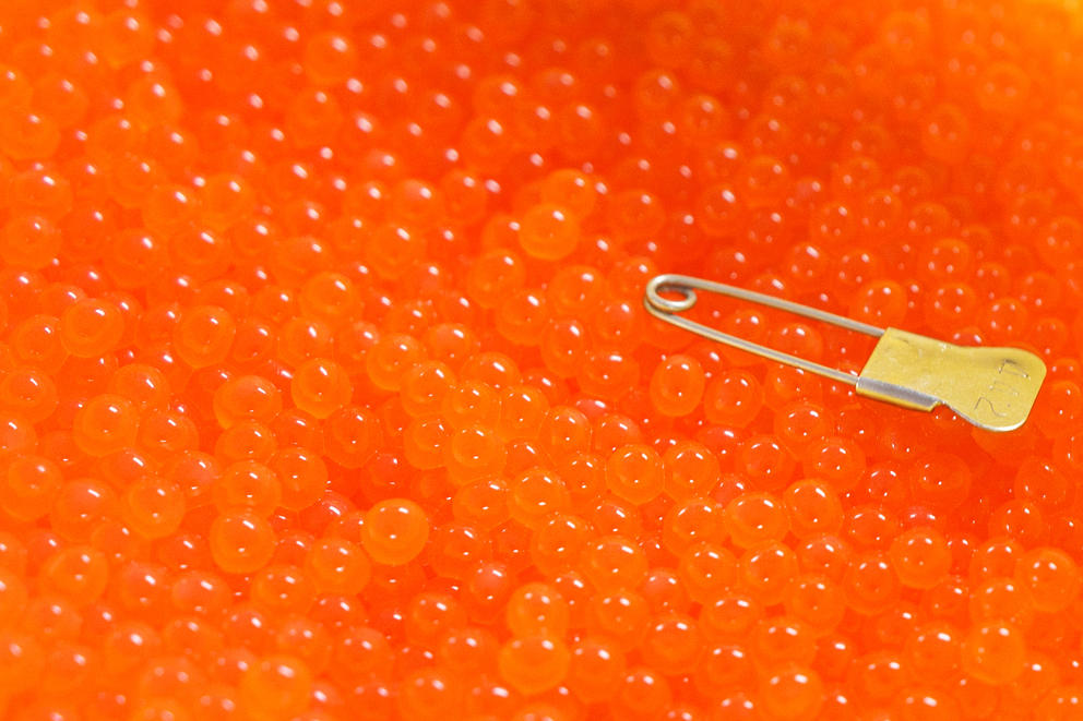 Closeup of salmon eggs with a label
