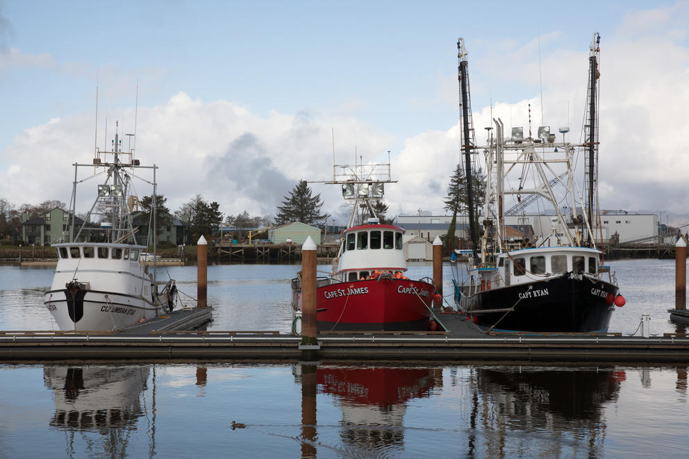 Fishing boats moored at the Warrenton Marina near Astoria, Oregon.