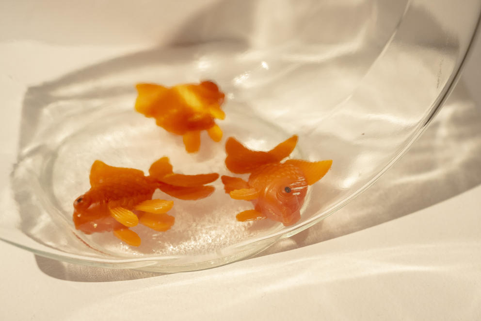 a close up of orange plastic goldfish lying at the bottom of a glass bowl
