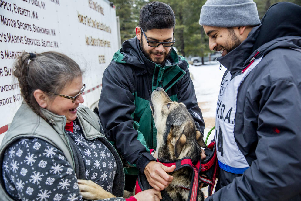 From left, Jeanne Roxby, Pepe Flores, and Marcos Padilla put harnesses on the sled dogs before their race in the Northwest Sled Dog Association Dogtown Winter Derby at Camp Koinonia in Cle Elum on Saturday, Jan. 12, 2019. Three racers from Urban Mushing Leon in Mexico traveled to Washington to work with the Roxby family and their dogs and compete for the first time on snow. (Photo by Dorothy Edwards/Crosscut)