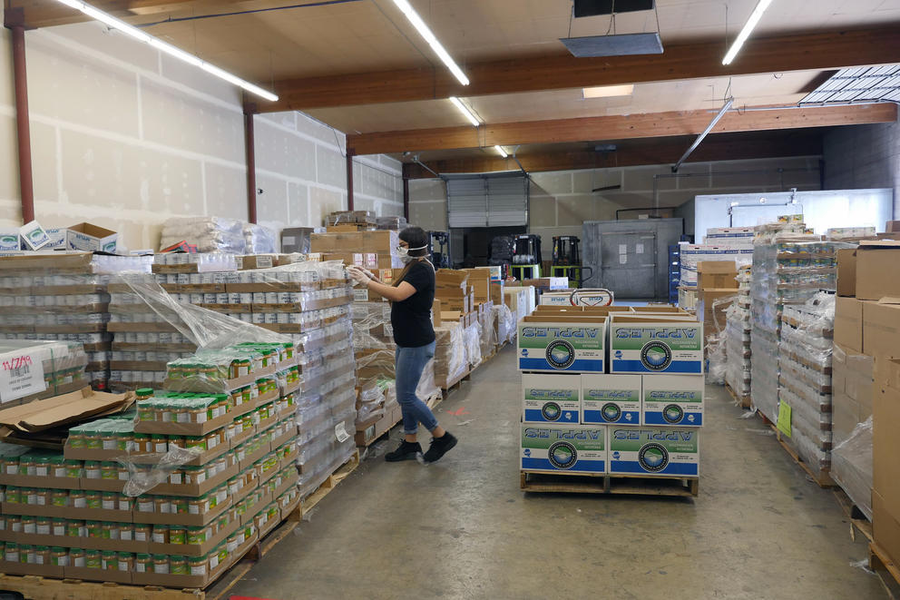 A person sorts food in a food bank