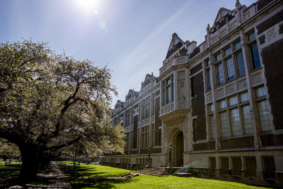 Bright sunny sky, tree and brick building, part of the University of Washington campus