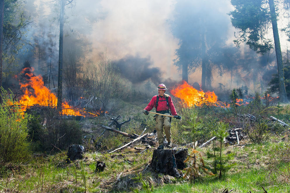 Firefighter in a forest amid flames
