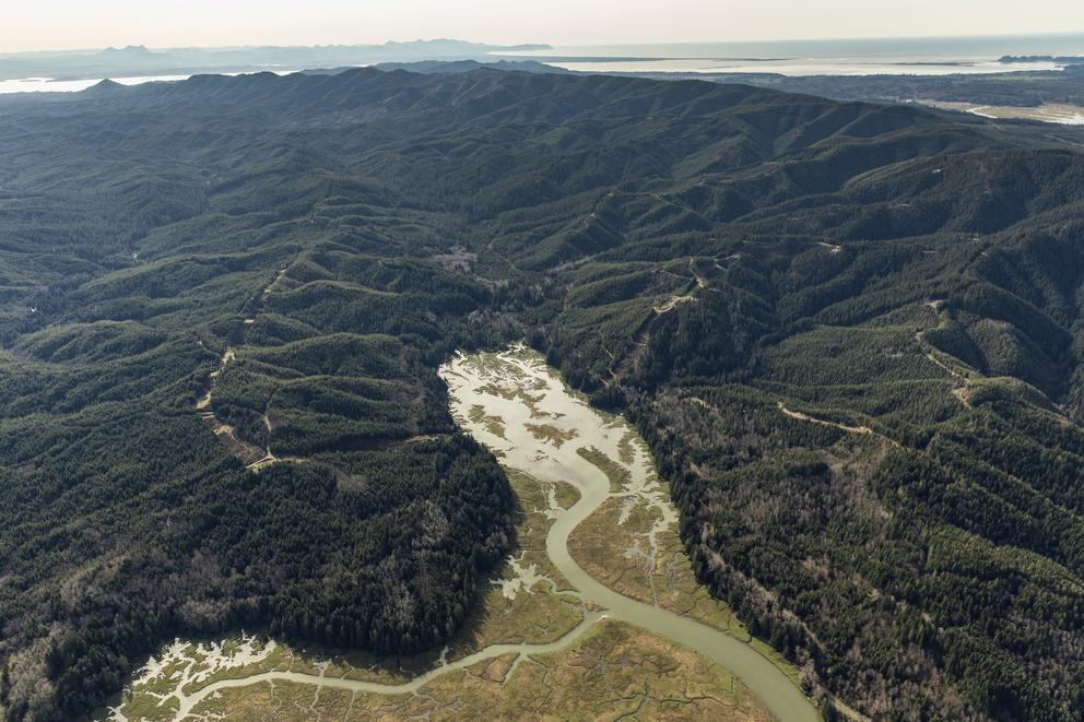 The Naselle River watershed, which includes Ellsworth Creek, as it flows toward Willapa Bay