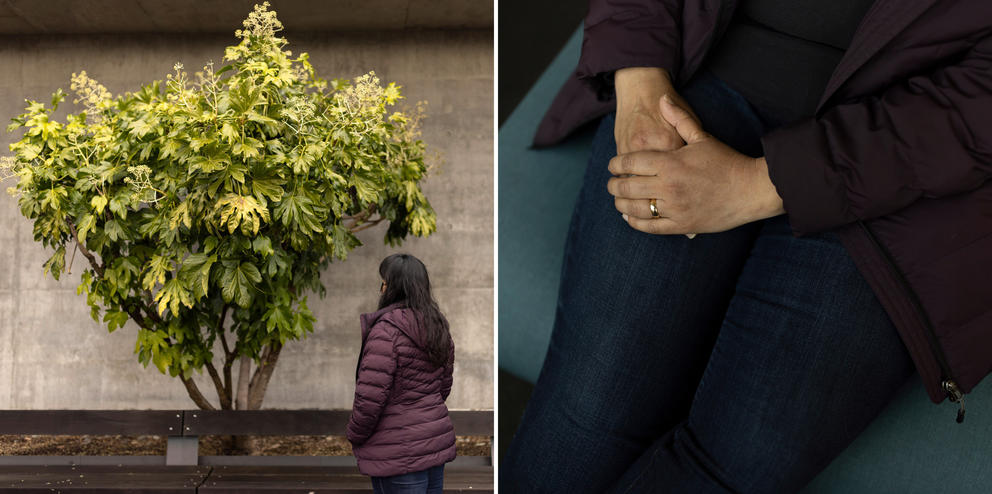 Two photos: 1) A woman looks up at a tree. 2) A close up of the woman's hands