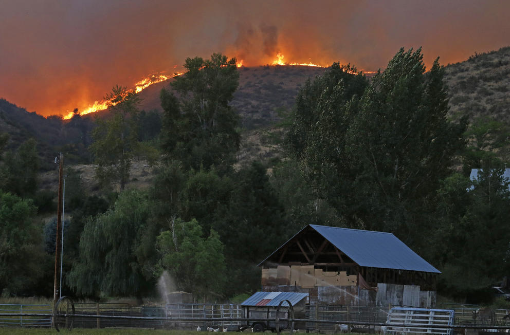 fires burn on a hill in the background of buildings and trees