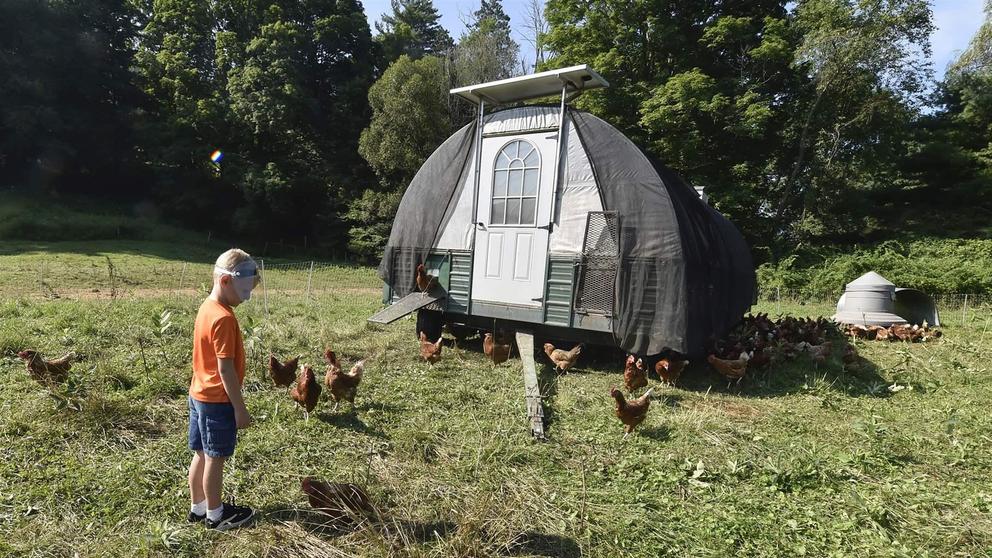 A young child looks at chickens in a field near a small trailer