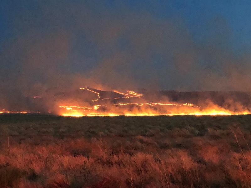 Flames burn sagebrush on the side of Rattlesnake Mountain, which was part of the Cold Creek Fire in July.