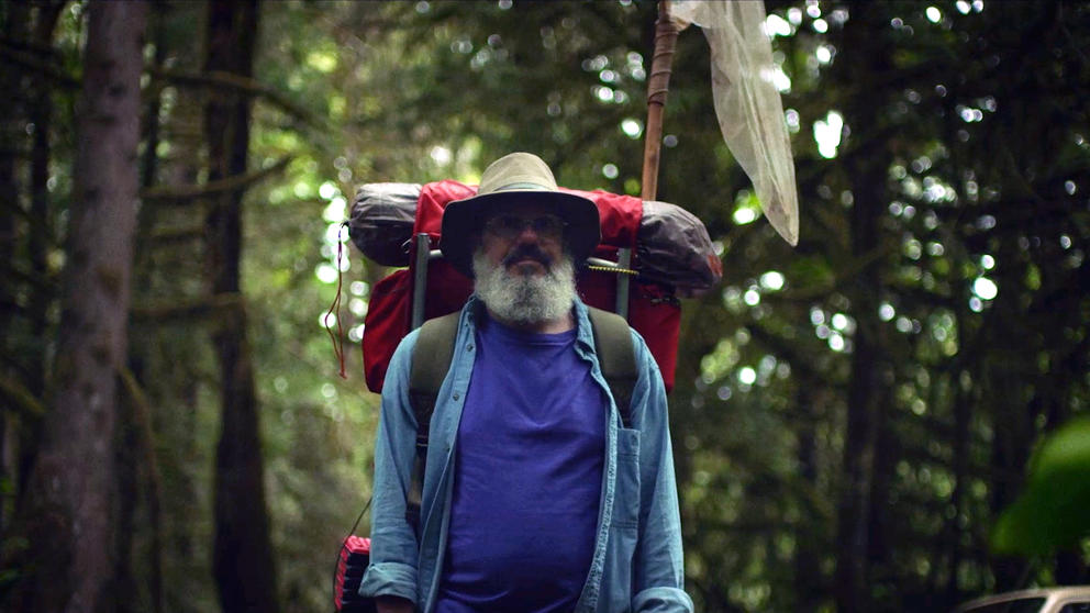 bearded guy in the forest with a big backpack