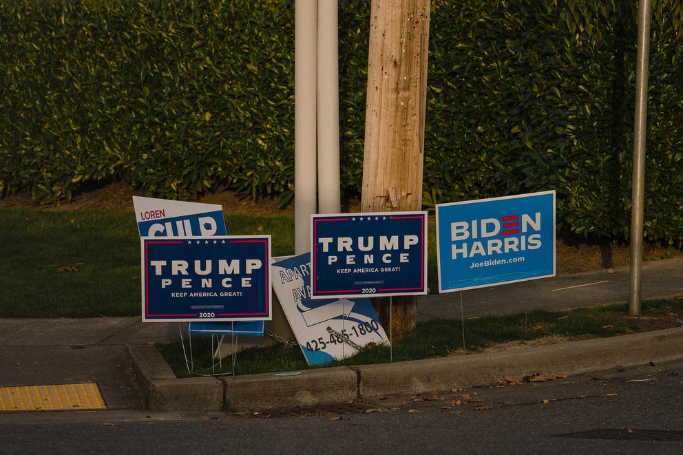 Campaign signs on a median 