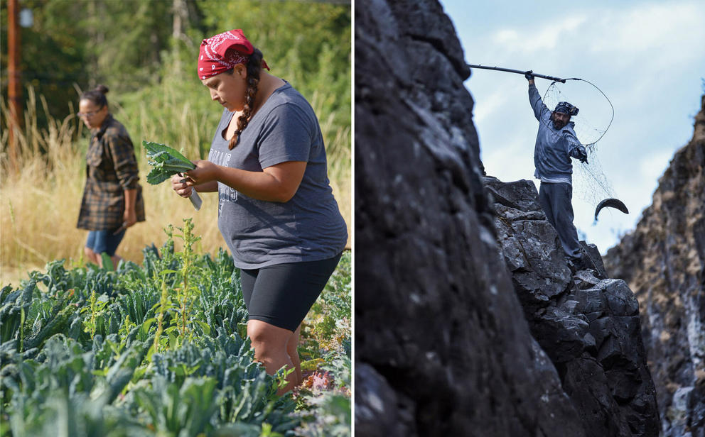 Left: The Nisqually Community Garden Right: William Spoonhunter, a Yakama Nation fisherman