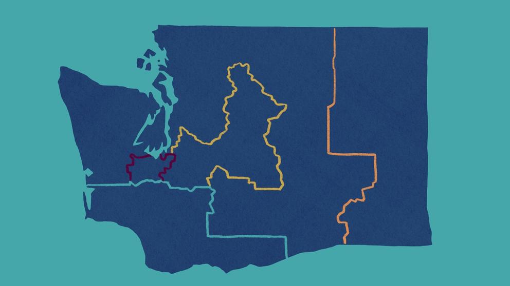 illustration of wa state, divided by legislative districts