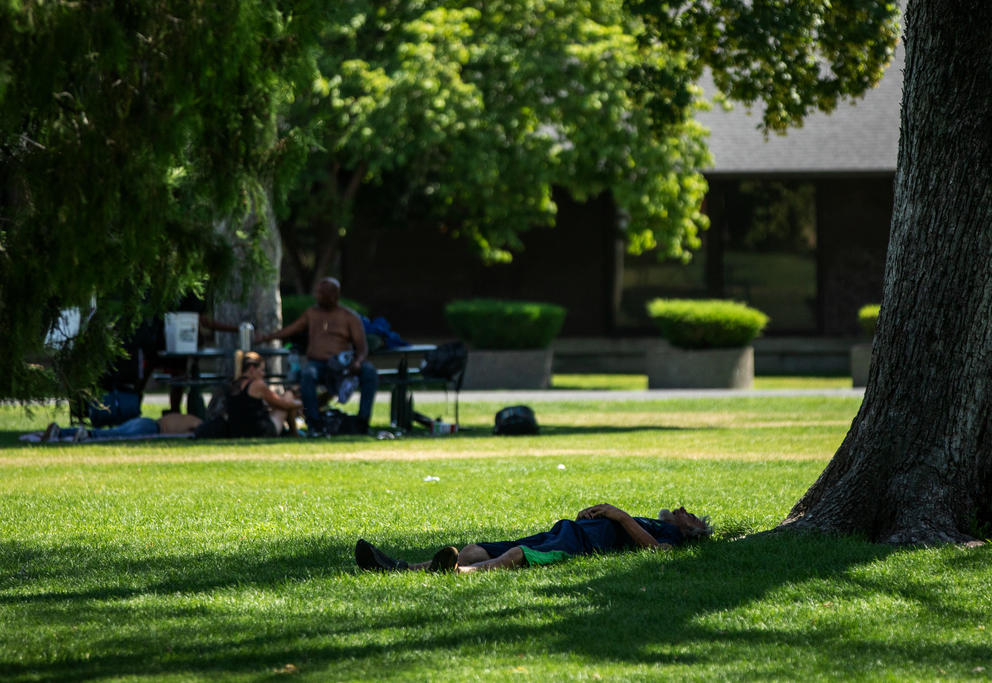 a person lies on their back in the grass next to a tree on a sunny day