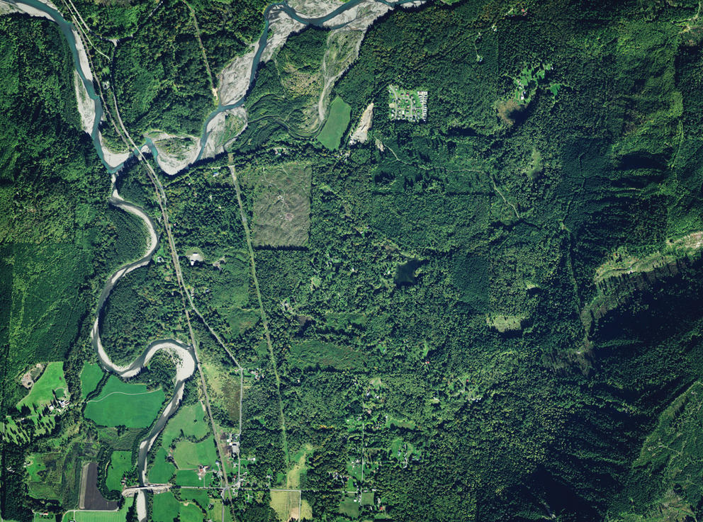 Aerial view of trees covering the Devil's Slide