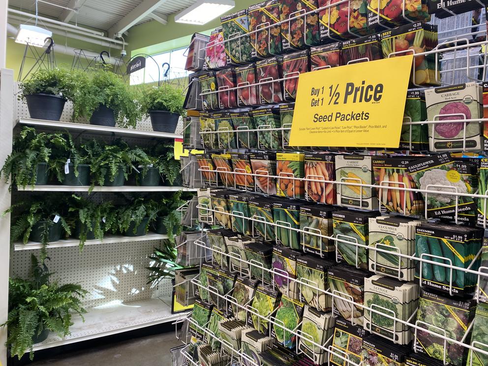 store display of various edible plant seeds. the nearest display has a sale sign. 
