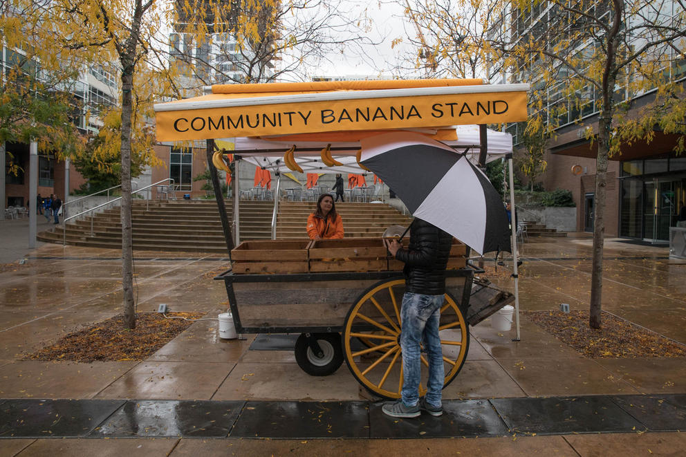A banana stand