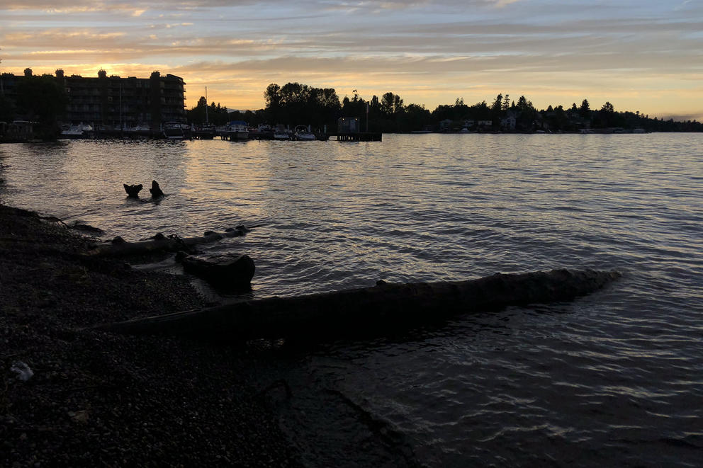 A view of Lake Washington from Chinook Beach Park in Seattle's Rainier Beach neighborhood during sunset, July, 8, 2018. (Matt M. McKnight/Crosscut)