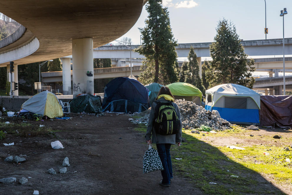 A person walks among tents below a freeway overpass