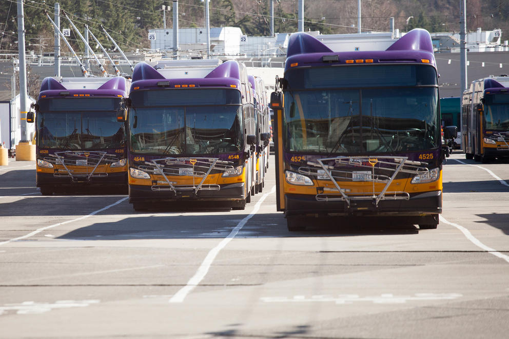 Three buses lined up at a station.