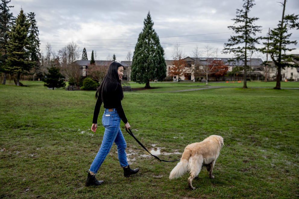 A girl in jeans and a black top walks a golden retriever across lawn, with trees and buildings in the background. 