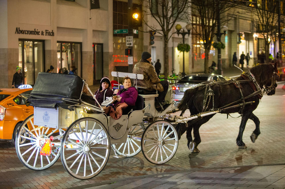 Steve Beckmann, owner of Sealth Horse Carriage, and Amos haul customers around Westlake Center in Seattle. © Karen Ducey for Crosscut