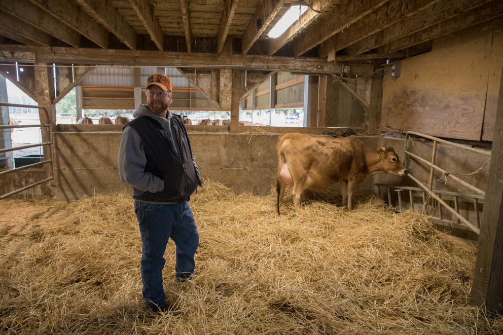 Rich Appel stands inside the original barn at Appel Farms near one of his cows, which will soon be calving. While the family business has grown and changed over the years, it still remains in the same location near Ferndale, Washington where it started more than a century ago.