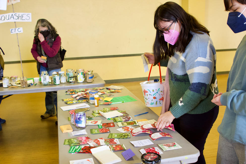 a person wearing a mask and a colorful sweater touches packets of seeds on a folding table in a bright room