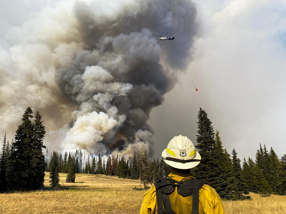 A firefighter stares at a smoke cloud in the distance