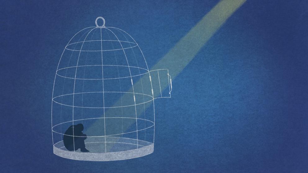 A spotlight on a bird in a cage