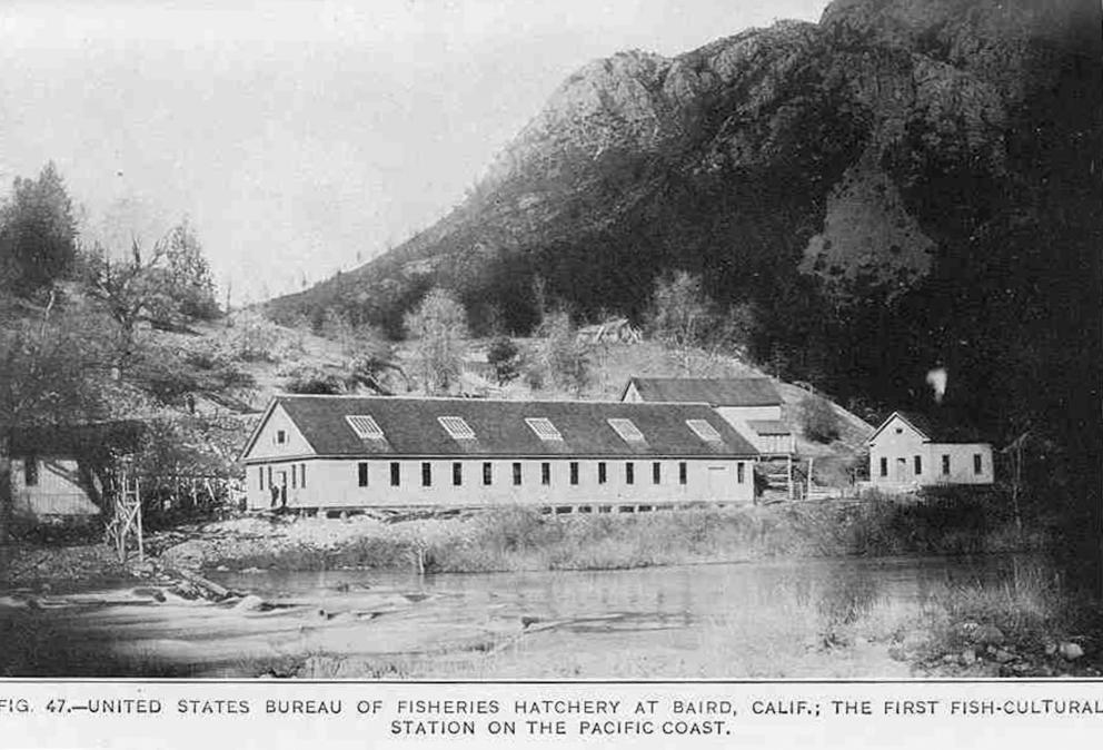 Historical photo of the Baird Station hatchery
