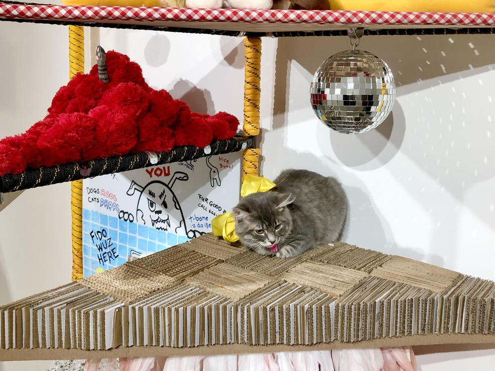 A small gray cat sits on a shelf below a tiny silver disco ball