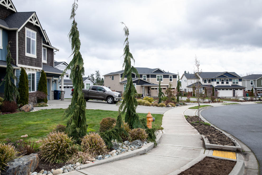 A paved street winds through an upscale neighborhood of single-family homes with short trees and landscaping out front.