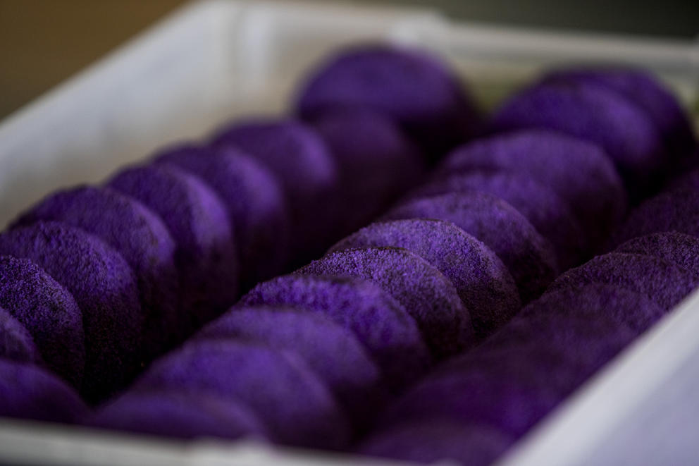 Two rows of small round pastries called "silvanas," coated with a purple ground cashews