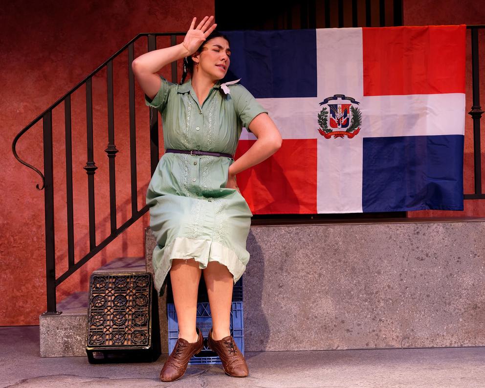 Woman in sage green dress sits on the side of a staircase, her hand against the side of her face in a dramatic gesture. Behind her hangs the flag of the Dominican Republic.