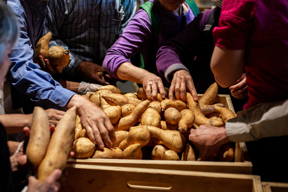 Hands grabbing yams from a market container