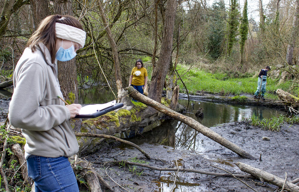 two women and a young boy explore a pond bisected by a downed tree