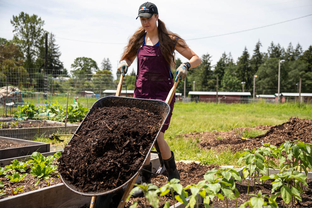 A person in purple overalls with long brown hair wheels a wheelbarrow of mulch through garden beds. There is a forest behind her. 