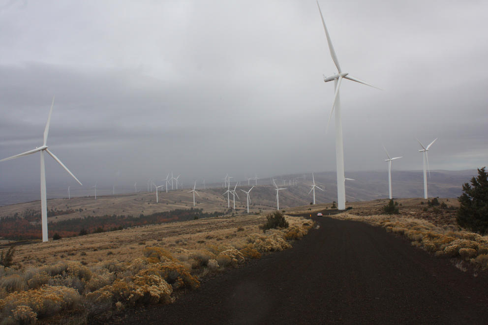 A road and wind turbines