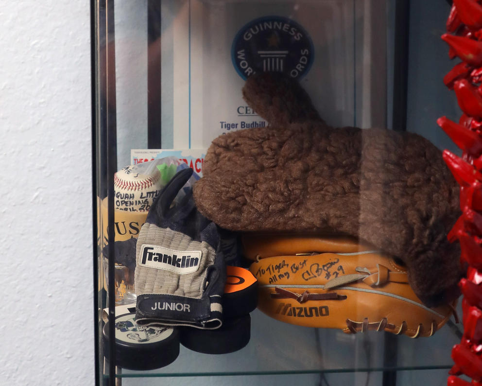 A display case with baseball memorabilia, including a brown moose costume paw