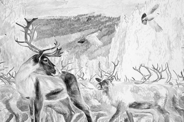 black and white depiction of a herd of raindeer, the lines are quick, to evoke emotion and motion