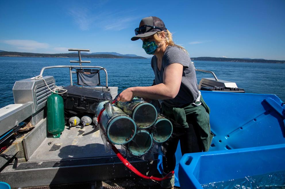 A woman holds four PVC tubes on the deck of a boat