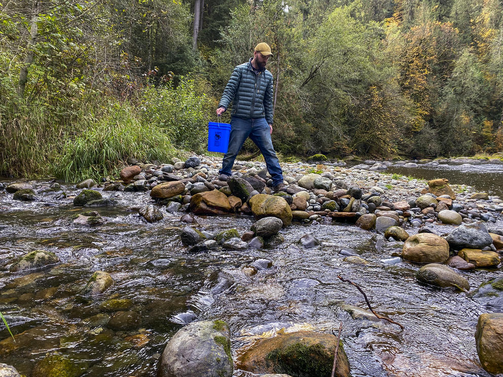 person holding bucket walks across rocks in a river