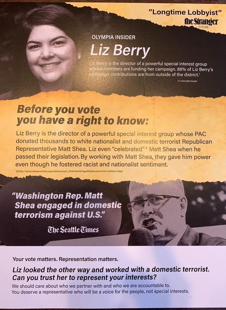 Mailer accusing Liz Berry of having "looked the other way and worked with a domestic terrorist"