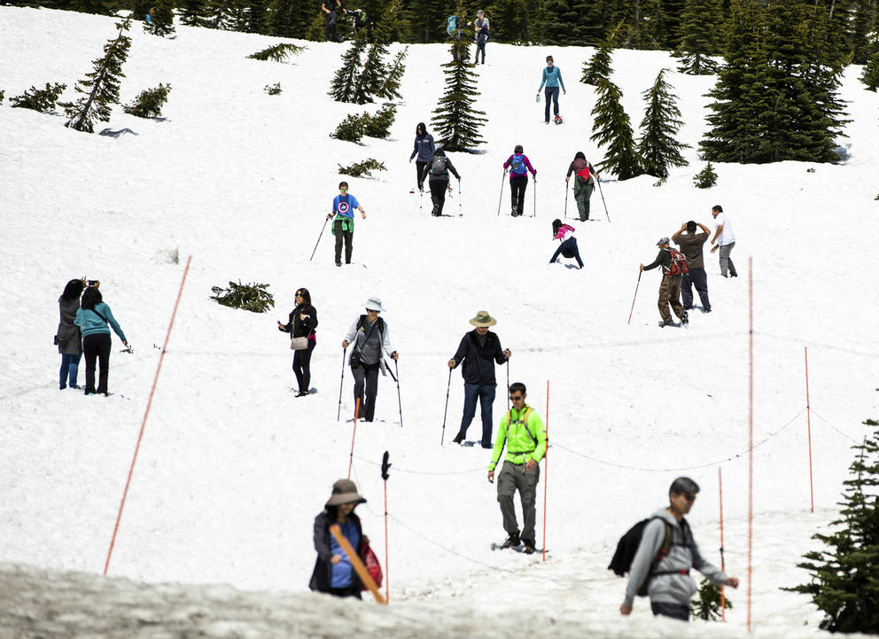 Visitors hiking in snow at Mount Rainier National Park