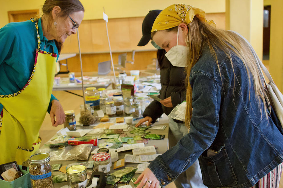 Two women on either side of a table browse through seed packages laid out