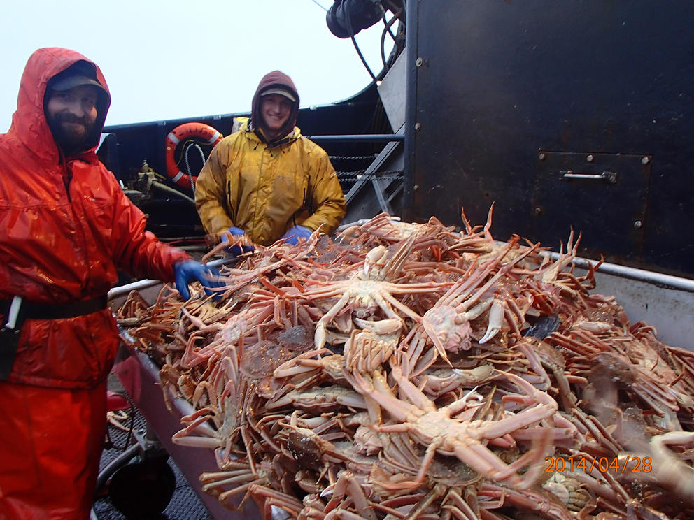 Two people in stand over a large container of crabs