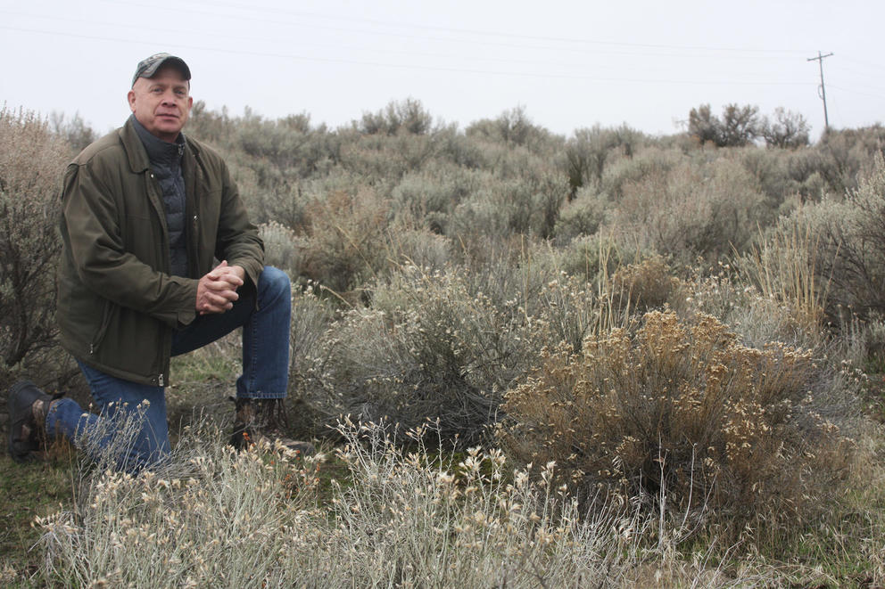 State wildlife biologist Mike RItter kneels in the shrub-steppe