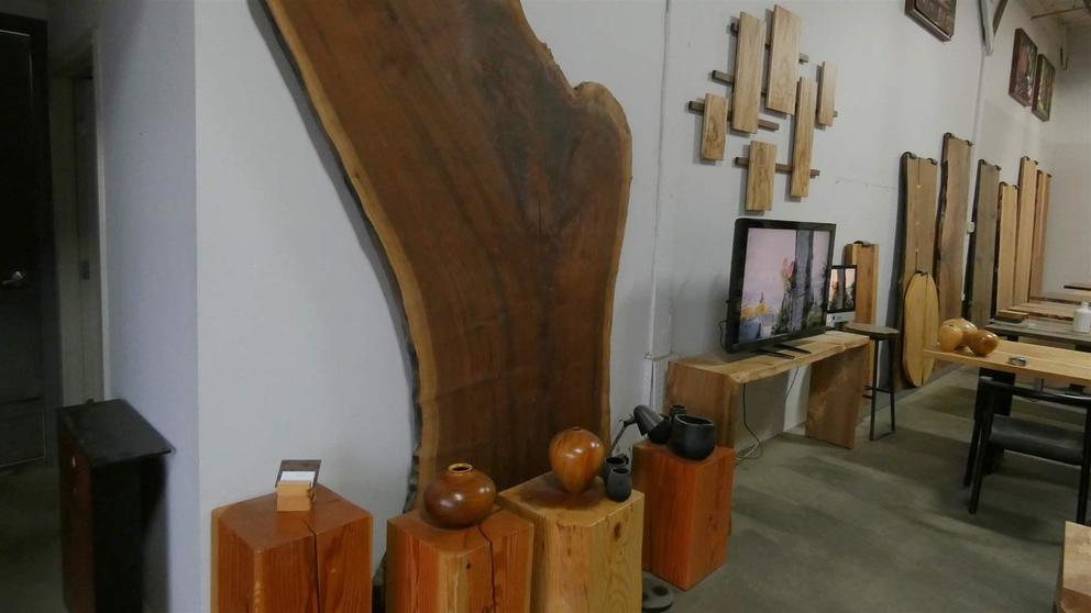 A naturally shaped slabs of wood against a wall and other art pieces inside a gallery