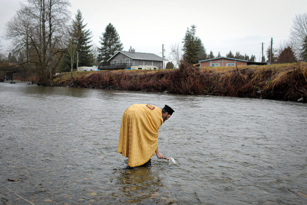 Father David Sommer leans over in the middle of the ankle deep Pilchuck River to dip a wooden cross into the water